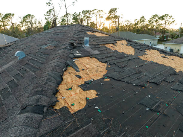 Best Roof Inspection  in Abilene, TX